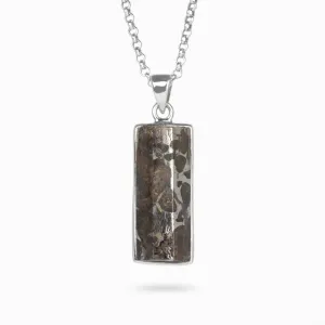 Pallasite Meteorite Necklace