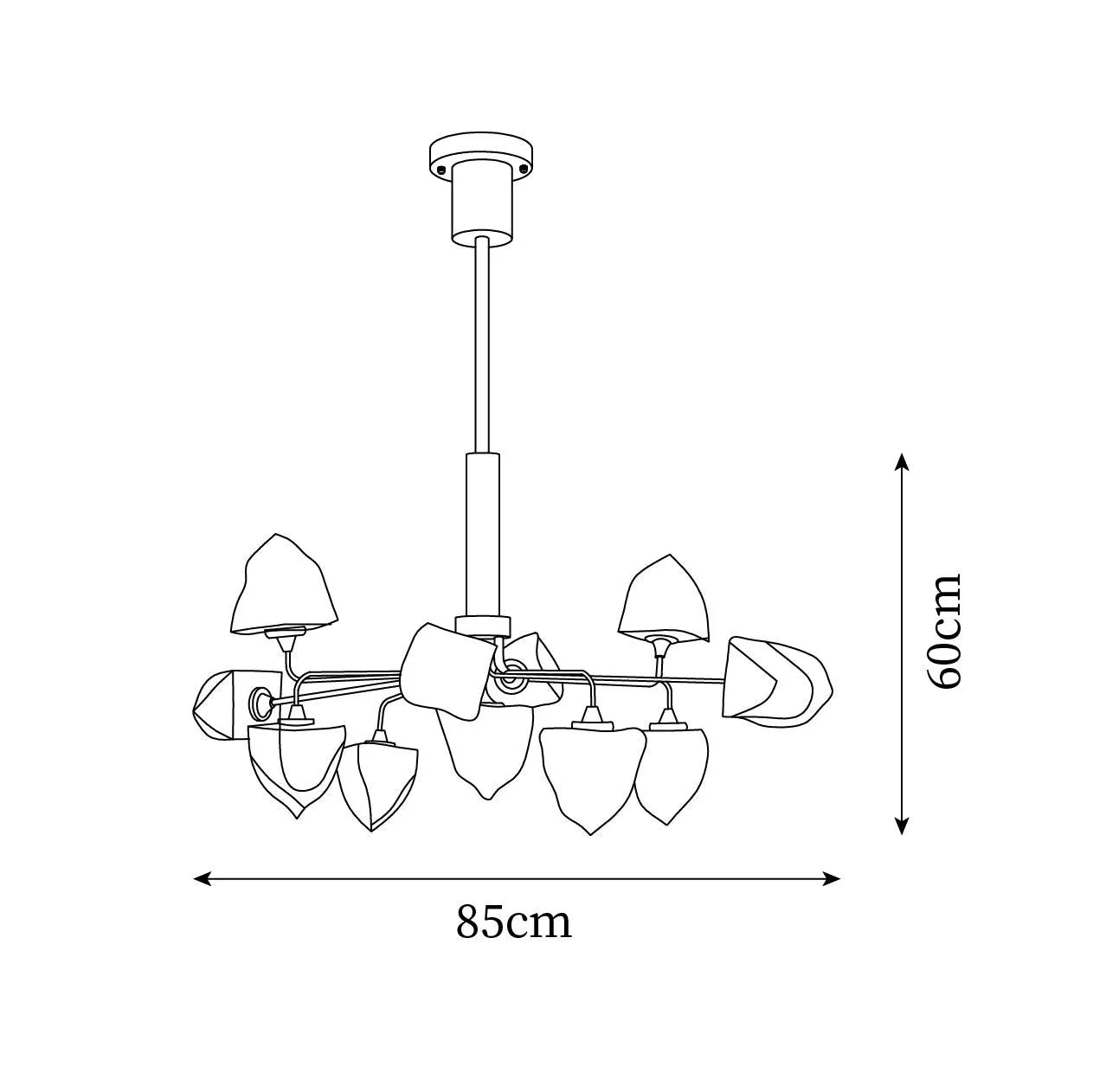 Zevin Chandelier